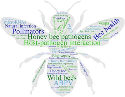 Editorial: Insights into bee diseases and bee health